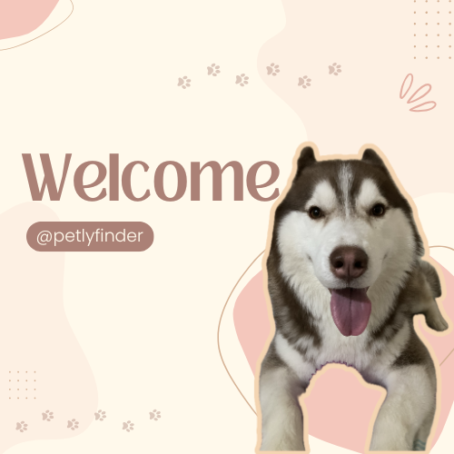 Welcome to the PetlyFinder Blog – Where Pet Love Meets Smart Solutions!